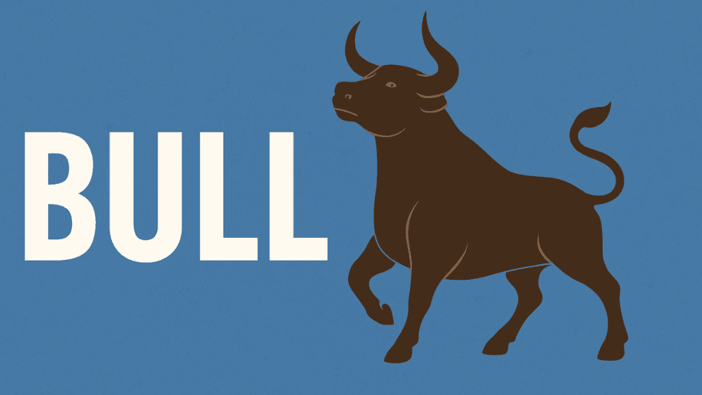 What is a Bull in Finance